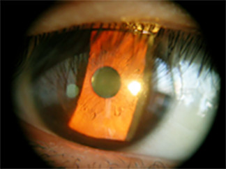 色彩平衡 1 拷貝 3 (1)